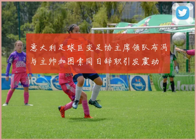 意大利足球巨变足协主席领队布冯与主帅加图索同日辞职引发震动