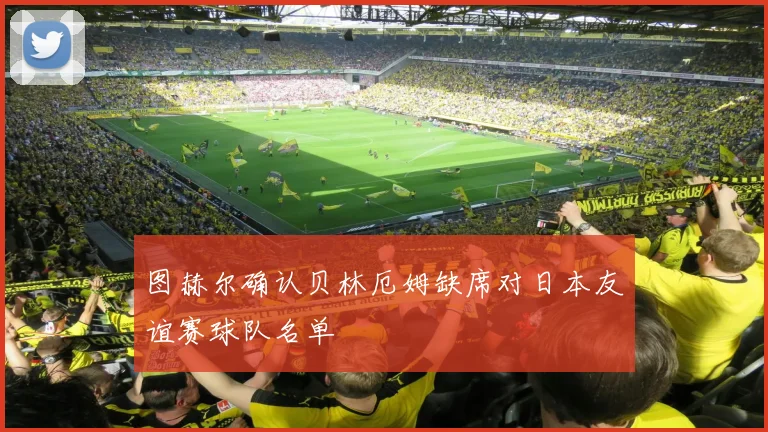 图赫尔确认贝林厄姆缺席对日本友谊赛球队名单